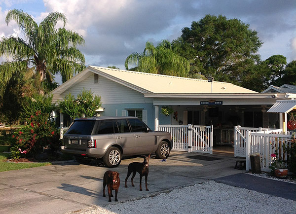 galvanium ivory metal roof